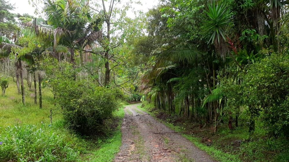 Fazenda à venda com 3 quartos, 242000m² - Foto 15