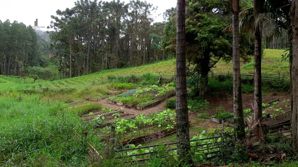 Fazenda à venda com 3 quartos, 242000m² - Foto 12