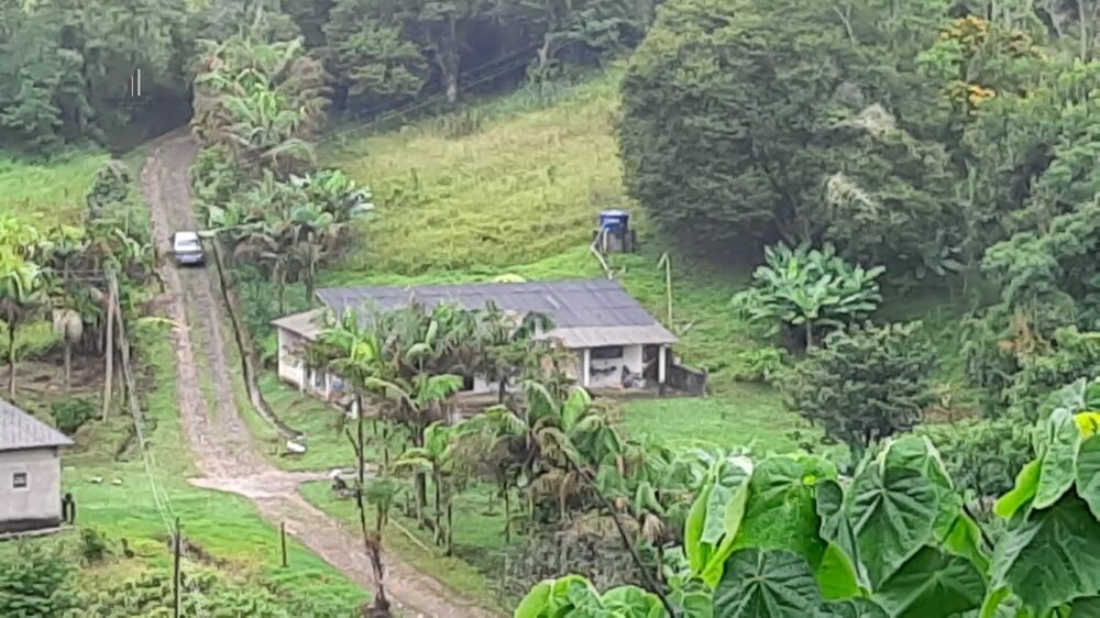 Fazenda à venda com 3 quartos, 242000m² - Foto 9