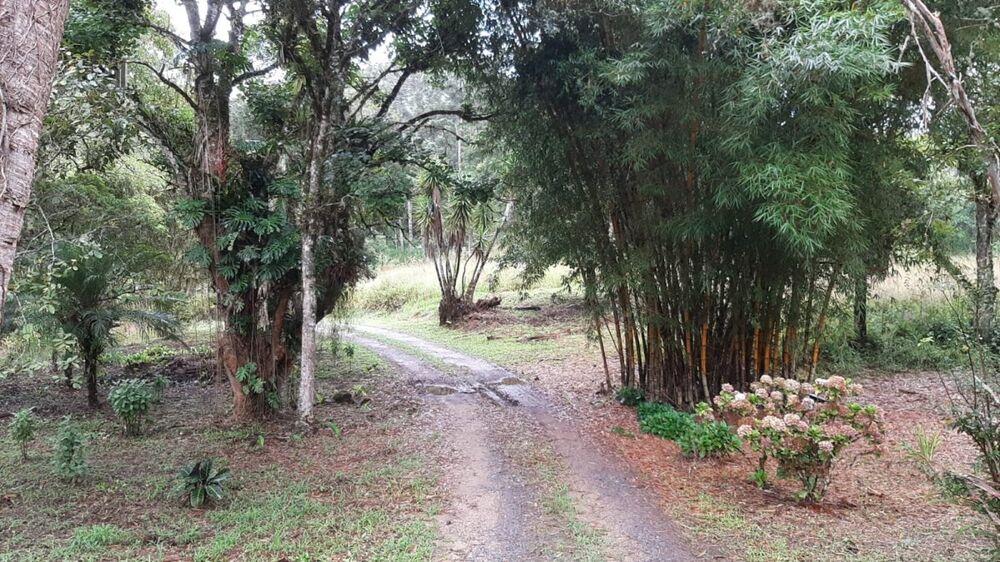 Fazenda à venda com 3 quartos, 242000m² - Foto 10