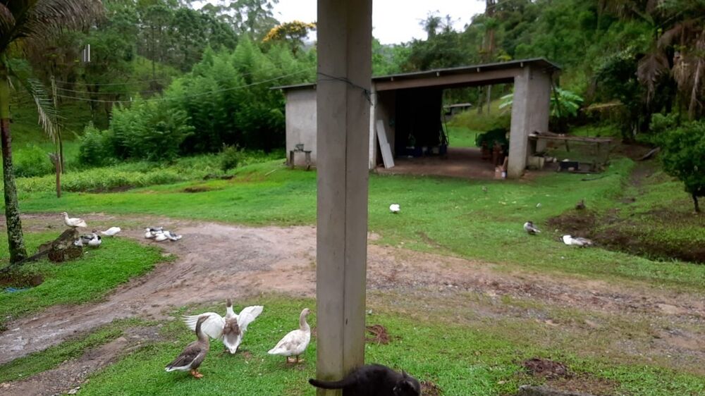 Fazenda à venda com 3 quartos, 242000m² - Foto 19