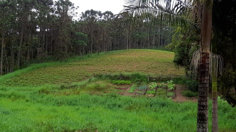 Fazenda à venda com 3 quartos, 242000m² - Foto 13