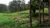 Fazenda-Sítio-Chácara, 24 hectares - Foto 12