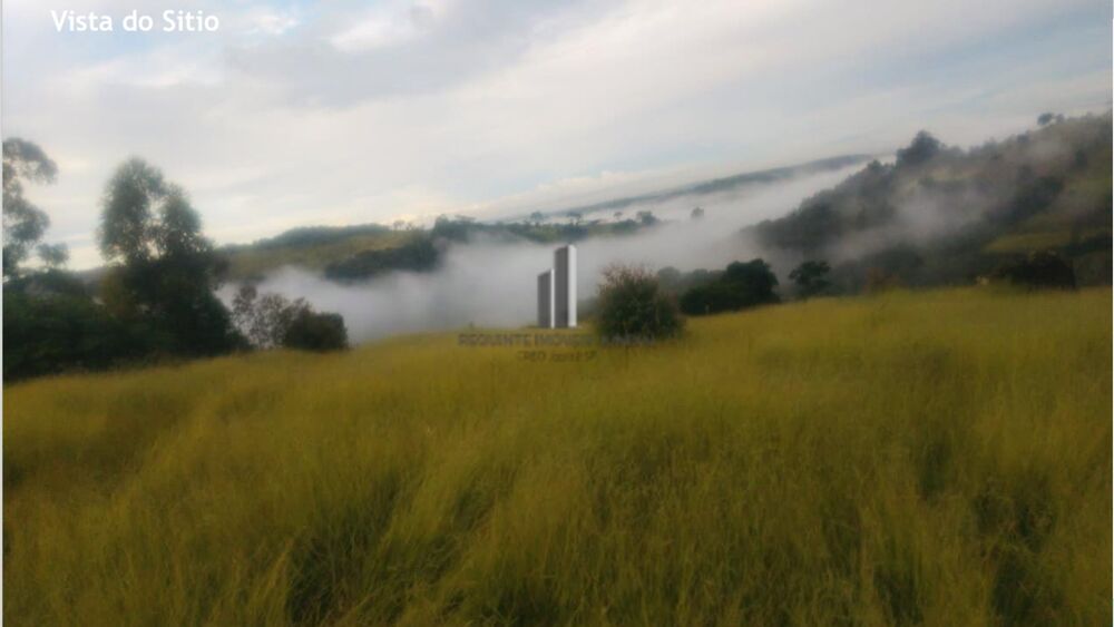 Sítio, 7 hectares - Foto 8