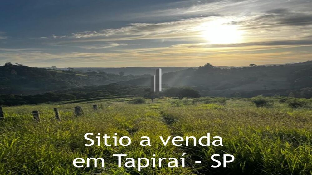 Sítio, 7 hectares - Foto 5