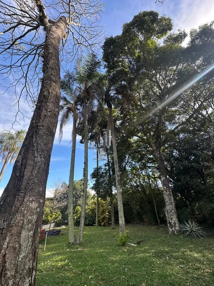 Terreno, 2500 m² - Foto 6