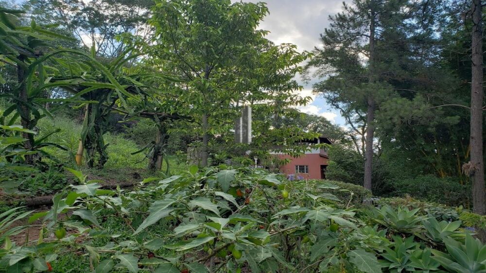 Chácara, 5 quartos, 1 hectares - Foto 4