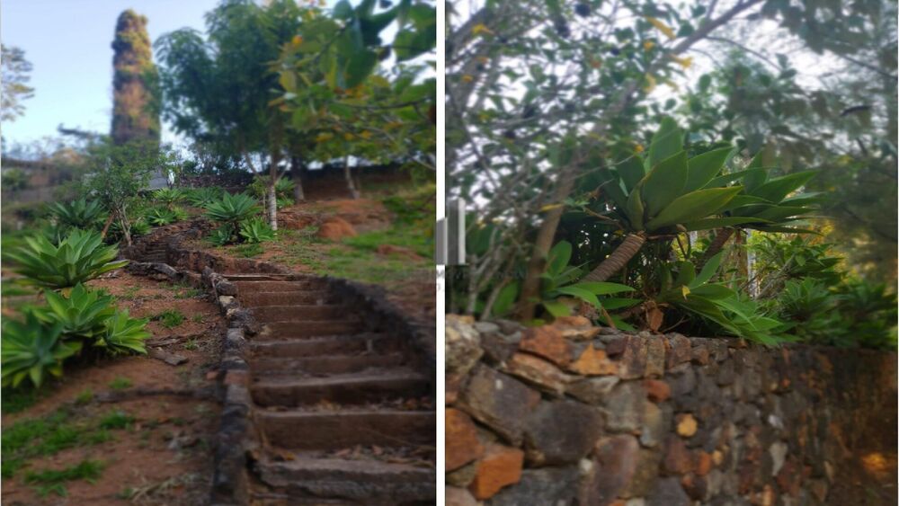 Chácara, 5 quartos, 1 hectares - Foto 3