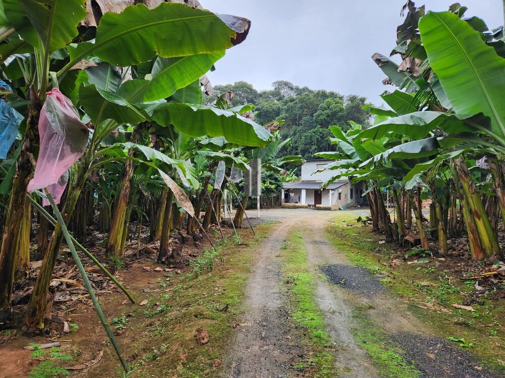 Sítio, 2 quartos, 15 hectares - Foto 14