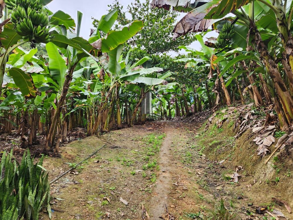 Sítio, 2 quartos, 15 hectares - Foto 15