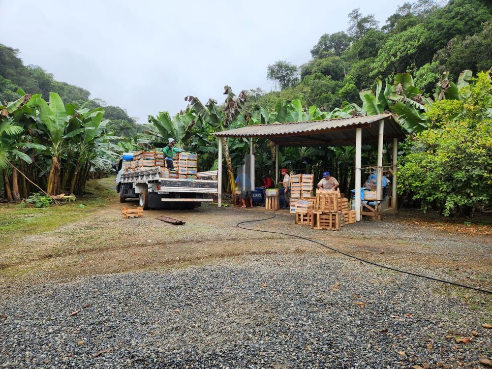 Sítio, 2 quartos, 15 hectares - Foto 18