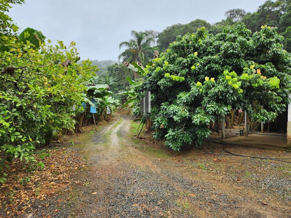 Sítio, 2 quartos, 15 hectares - Foto 3
