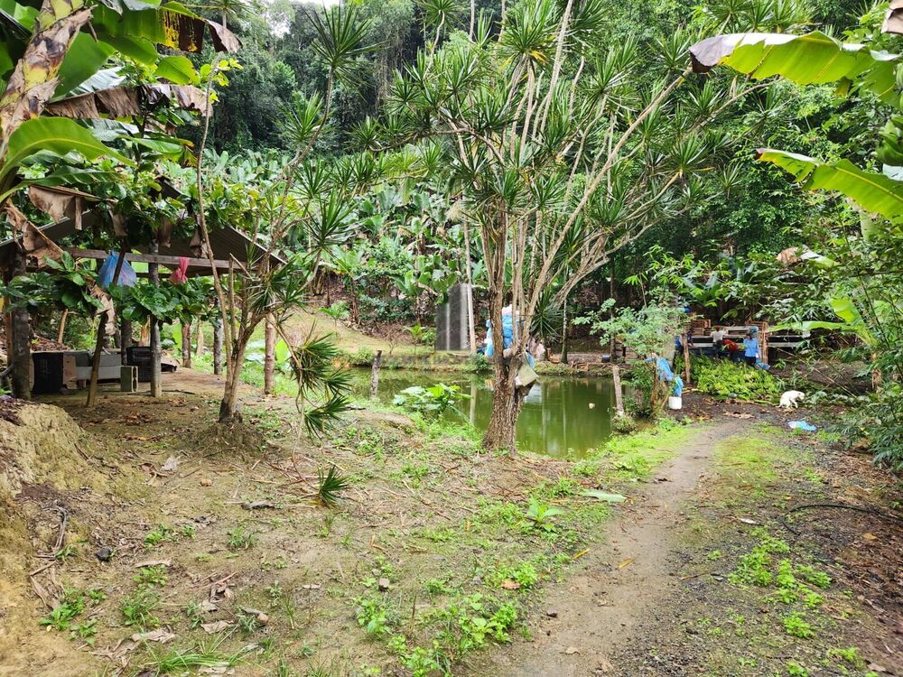 Sítio, 2 quartos, 15 hectares - Foto 7