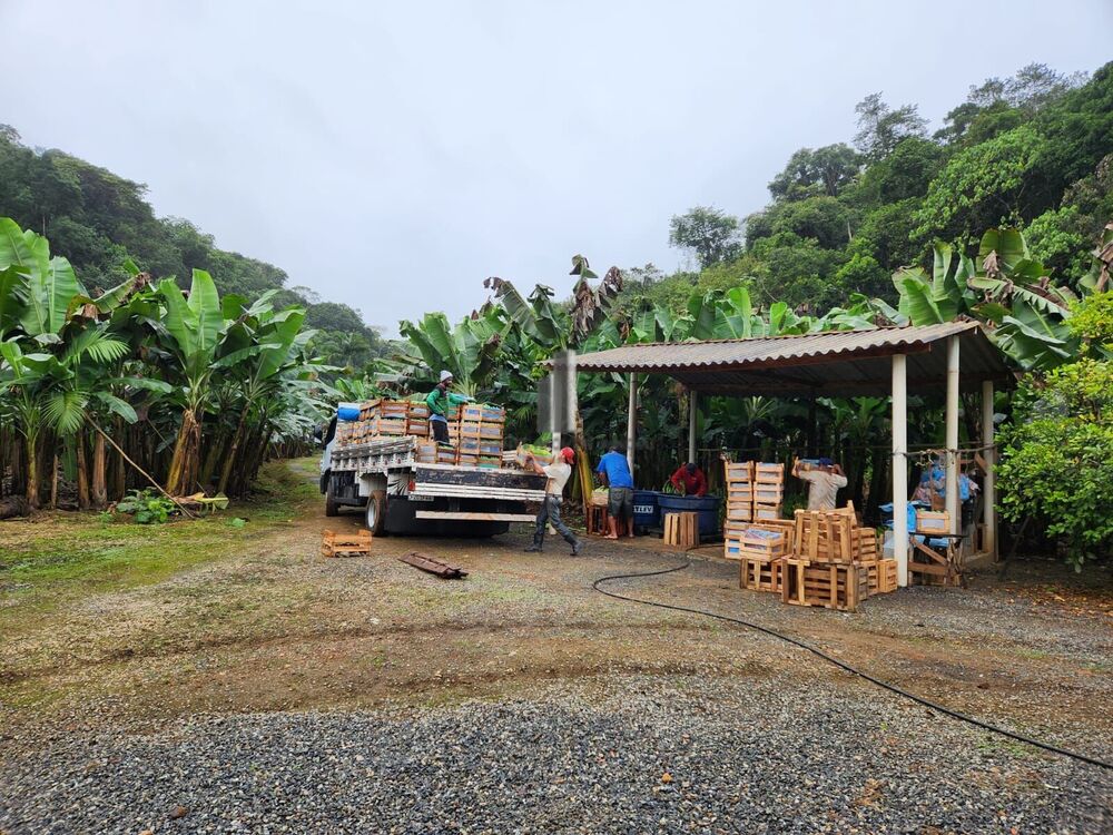 Sítio, 2 quartos, 15 hectares - Foto 19