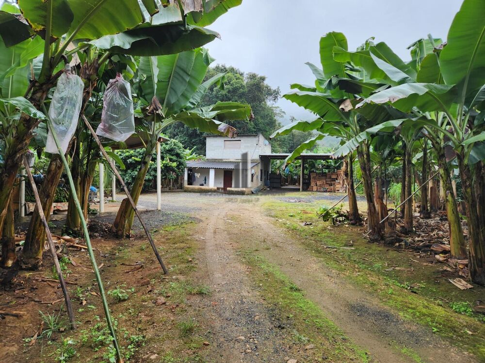 Sítio, 2 quartos, 15 hectares - Foto 6