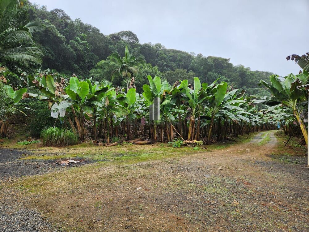 Sítio, 2 quartos, 15 hectares - Foto 4