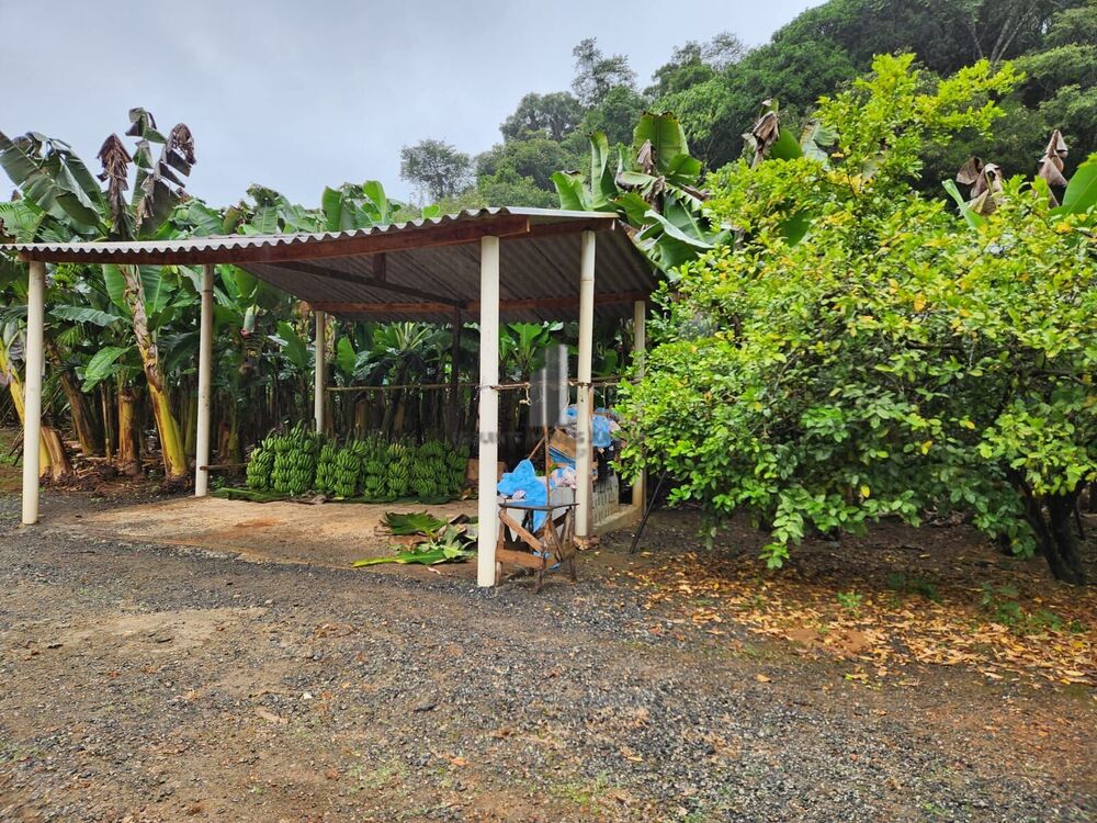 Sítio, 2 quartos, 15 hectares - Foto 17