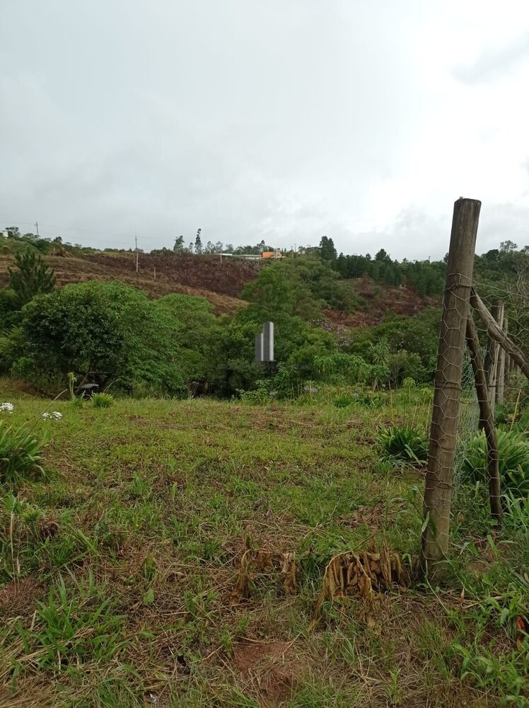 Terreno, 2769 m² - Foto 2