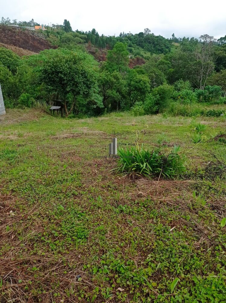 Terreno, 2769 m² - Foto 1