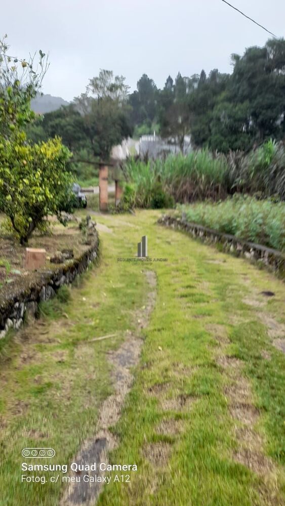 Sítio, 4 hectares - Foto 3