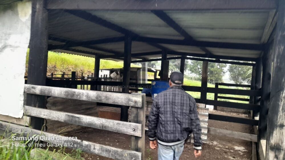 Sítio, 4 hectares - Foto 7