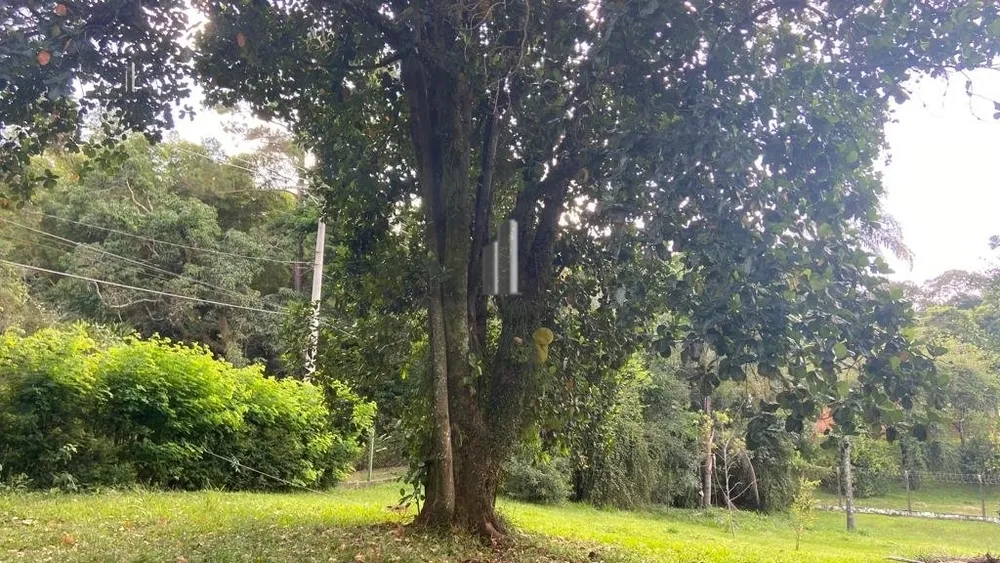 Terreno, 1000 m² - Foto 4
