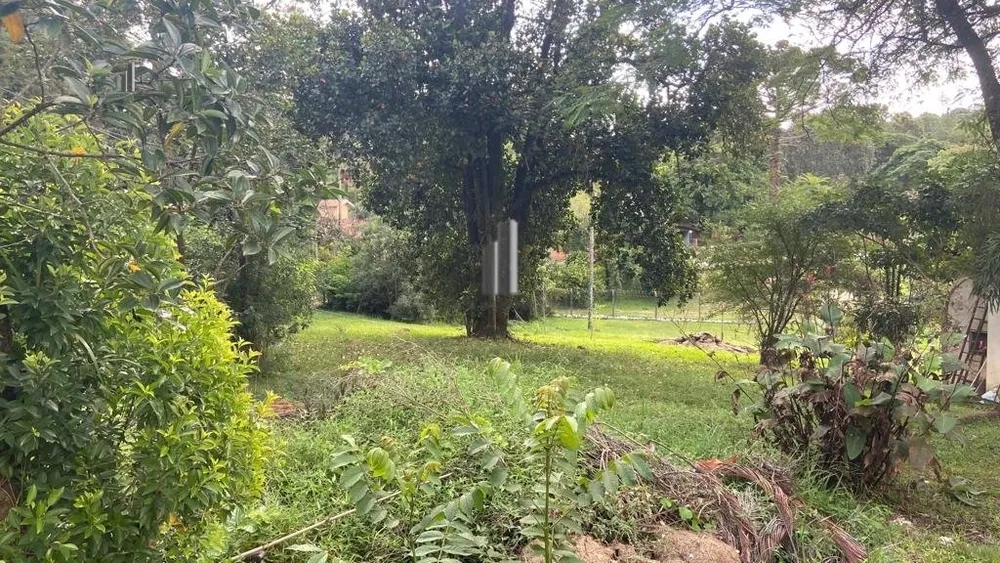 Terreno, 1000 m² - Foto 3