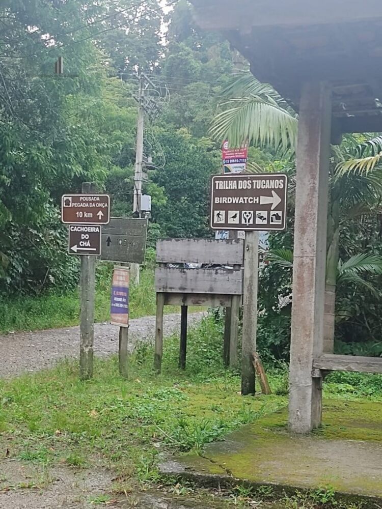 Sítio, 4 quartos, 5 hectares - Foto 8