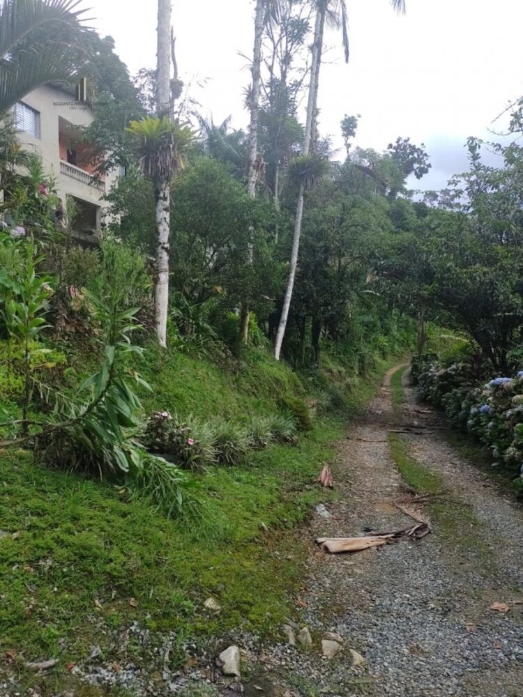 Sítio, 4 quartos, 5 hectares - Foto 1