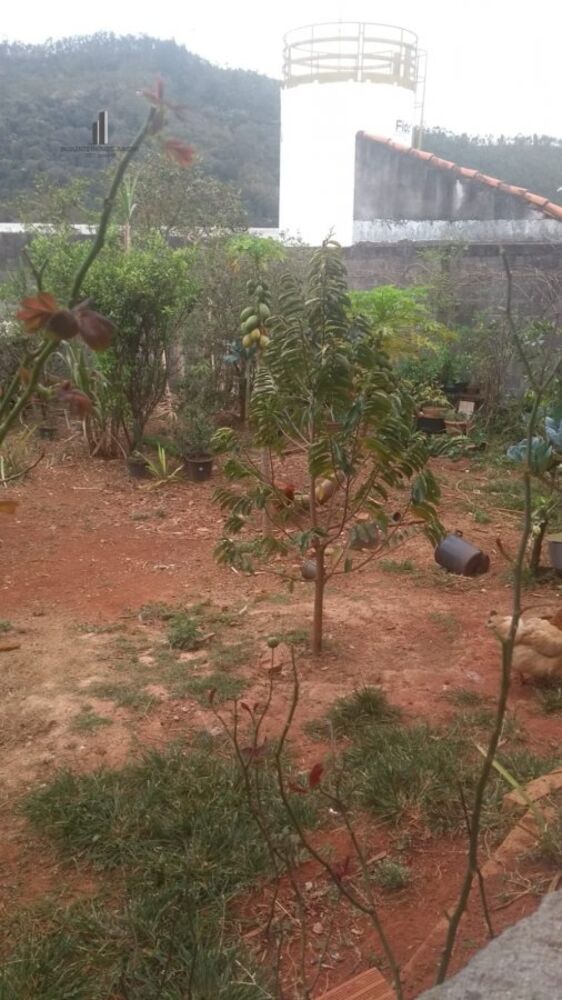 Casa, 4 quartos, 350 m² - Foto 19
