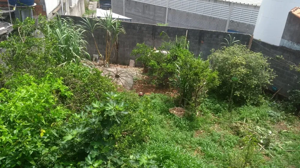 Casa, 4 quartos, 350 m² - Foto 28