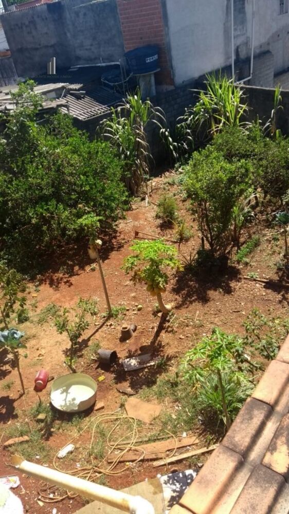 Casa, 4 quartos, 350 m² - Foto 18
