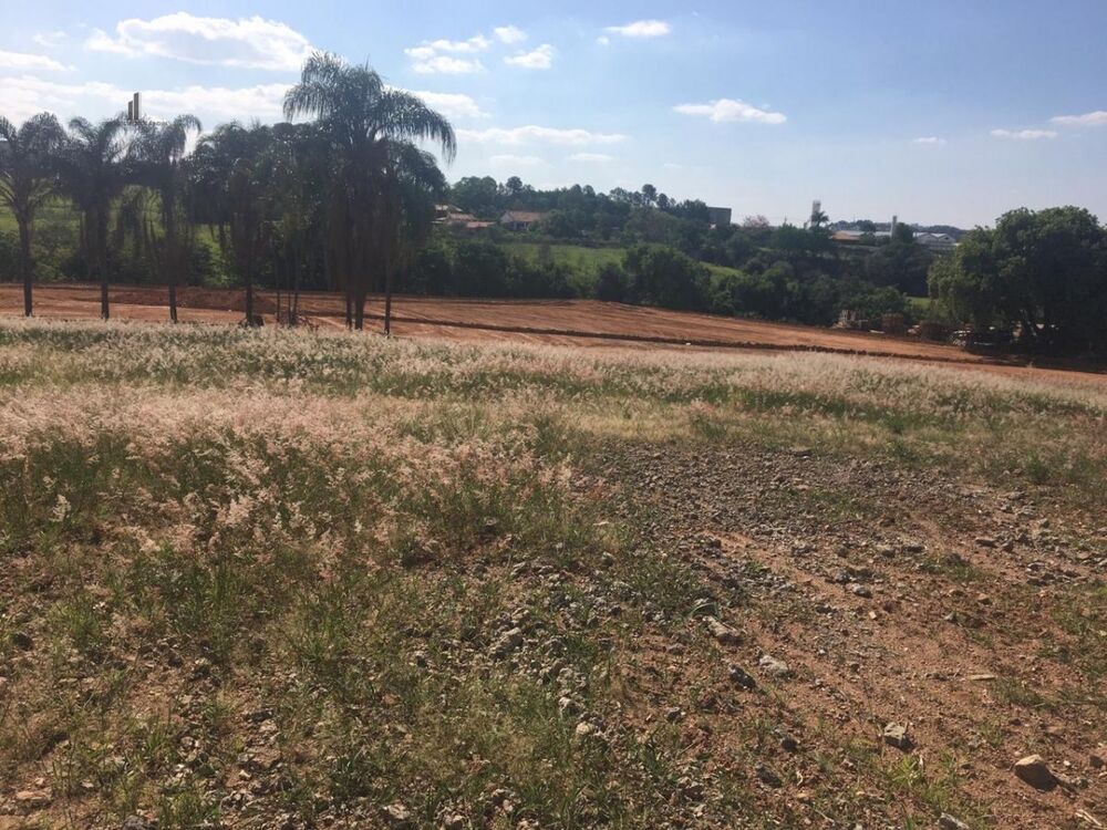 Terreno, 1 hectares - Foto 6