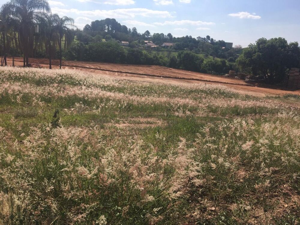 Terreno, 1 hectares - Foto 4