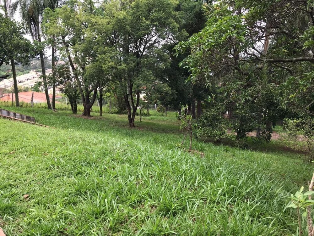 Chácara, 7 quartos, 2652 m² - Foto 7
