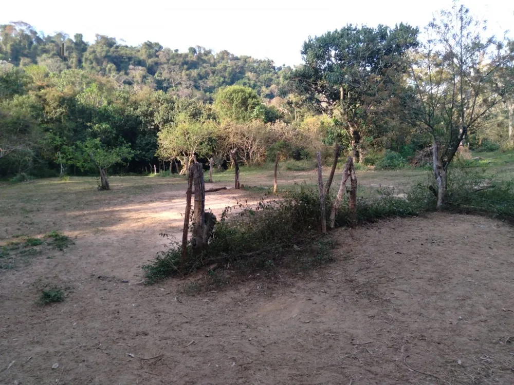 Sítio, 4 quartos, 8300 m² - Foto 2