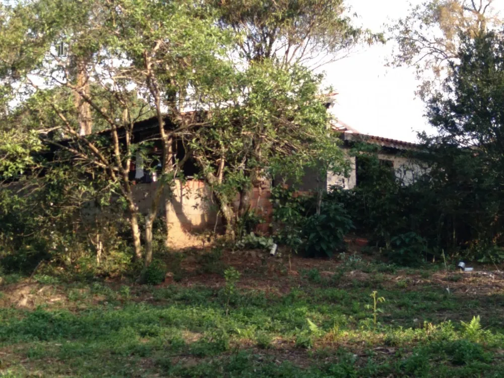 Sítio, 4 quartos, 8300 m² - Foto 6