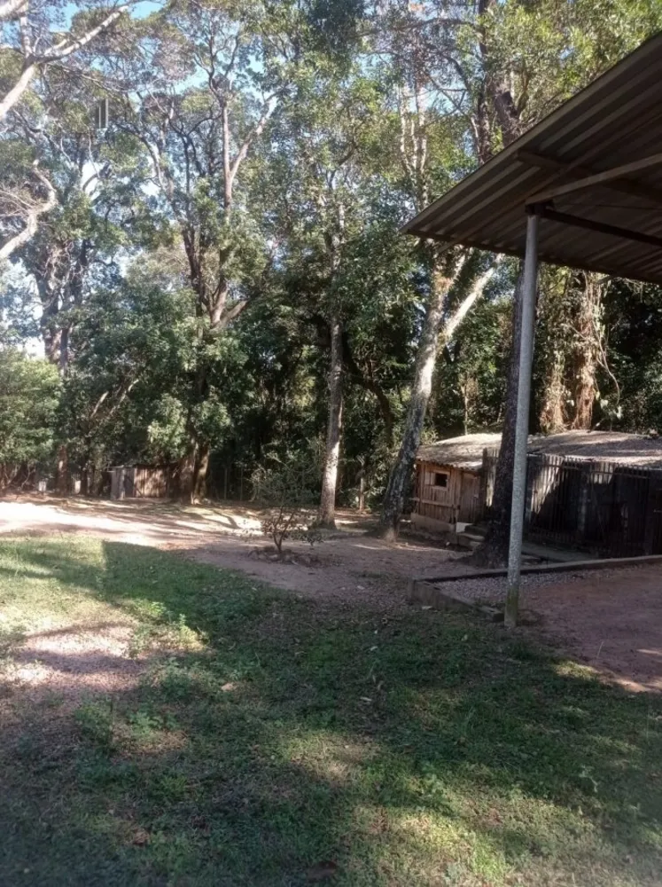 Chácara, 3 quartos, 8547 m² - Foto 4