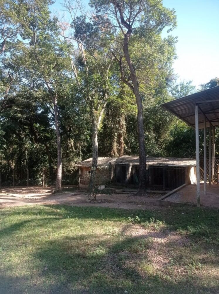 Chácara, 3 quartos, 8547 m² - Foto 3