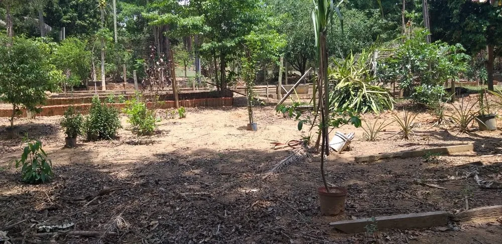 Chácara, 4 quartos, 2 hectares - Foto 6