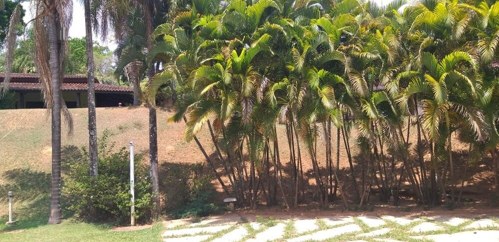 Chácara à venda com 4 quartos, 650m² - Foto 10