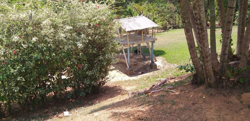 Chácara à venda com 4 quartos, 650m² - Foto 9