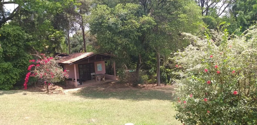 Chácara, 4 quartos, 2 hectares - Foto 14