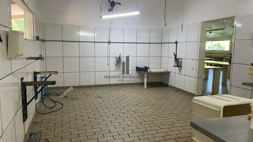 Sítio, 6 quartos, 6 hectares - Foto 12