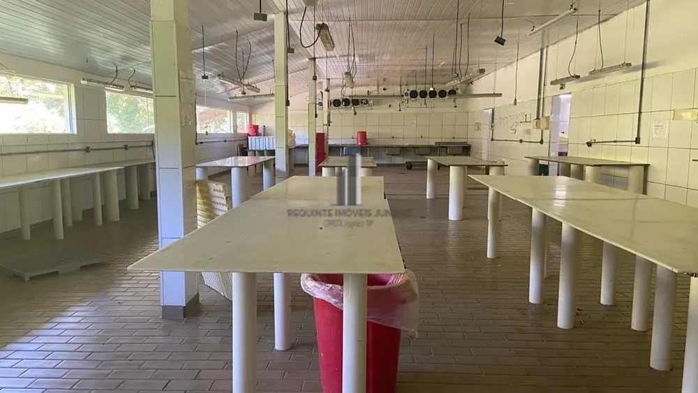 Sítio, 6 quartos, 6 hectares - Foto 8
