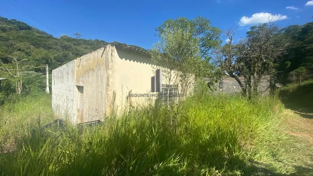 Sítio, 6 quartos, 6 hectares - Foto 19