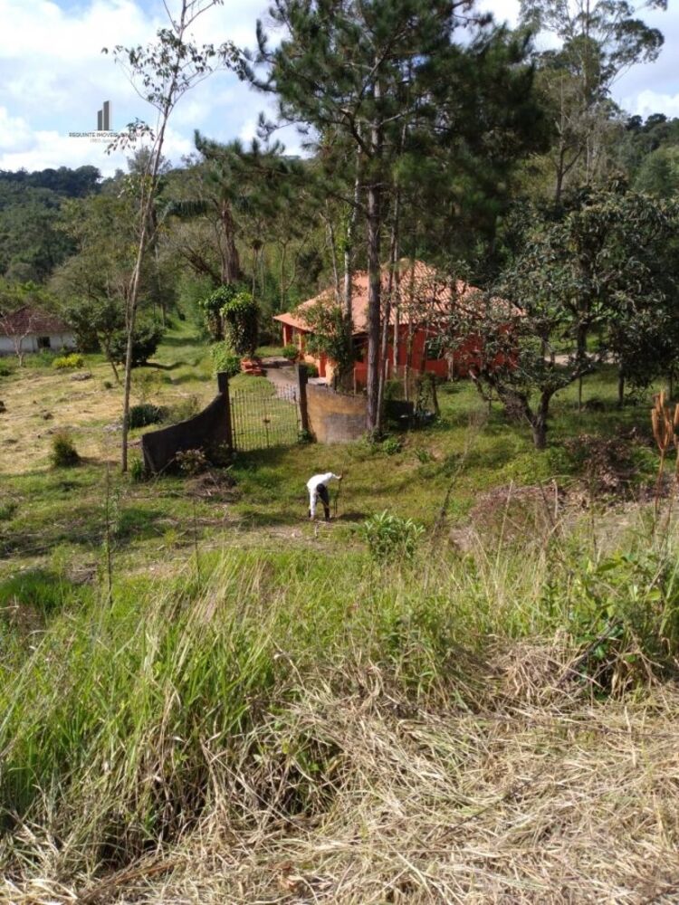 Sítio, 8 quartos, 27 hectares - Foto 4