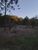 Sítio, 8 quartos, 27 hectares - Foto 2