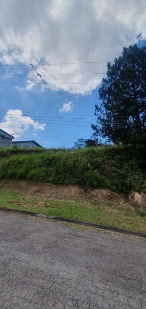 Terreno, 1000 m² - Foto 5