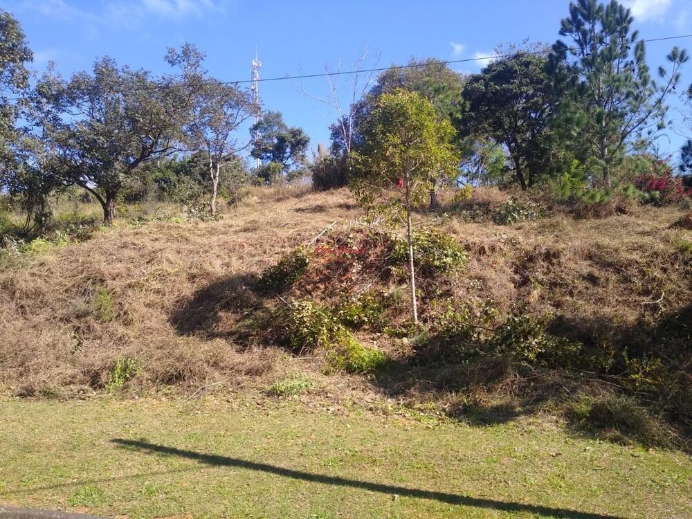 Terreno, 1600 m² - Foto 5